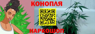 индика Пугачёв
